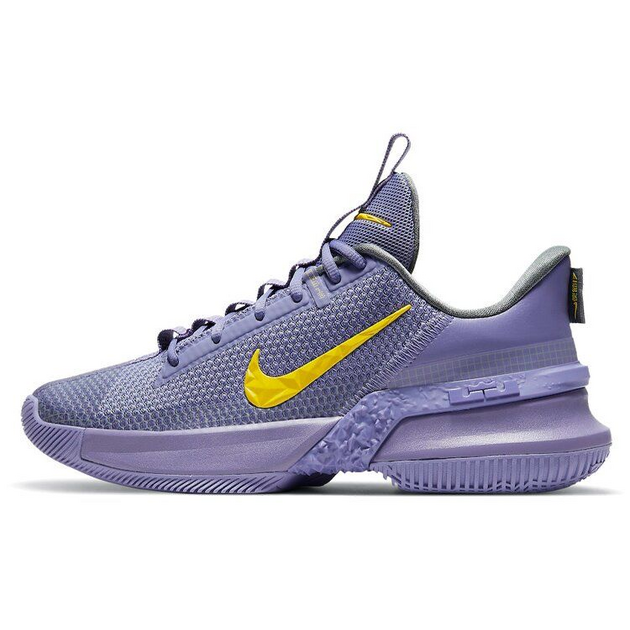 Nike Ambassador 13 LeBron Lakers 13