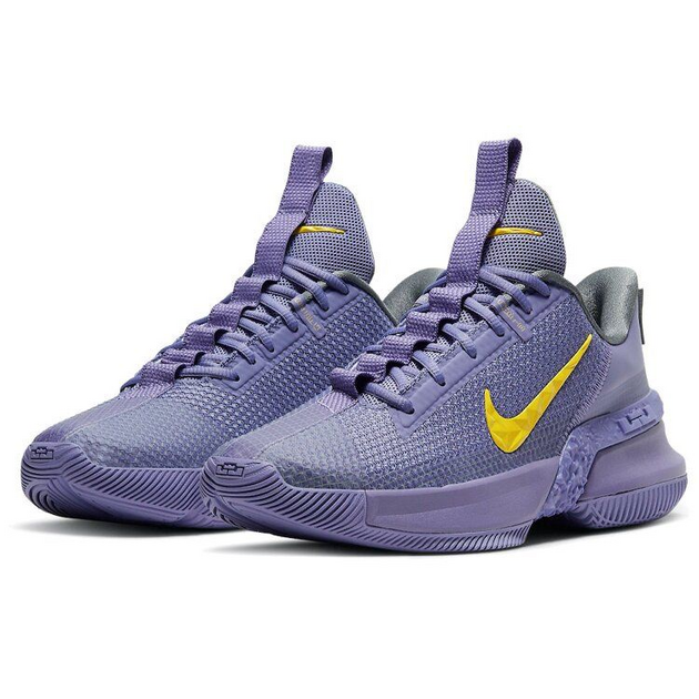 Nike Ambassador 13 LeBron Lakers 13