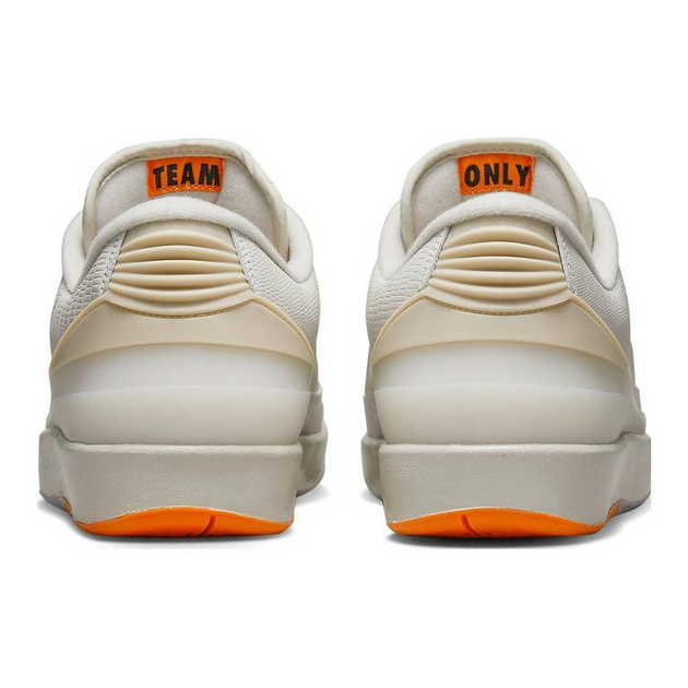 Shelflife x Air Jordan 2 Retro Low
