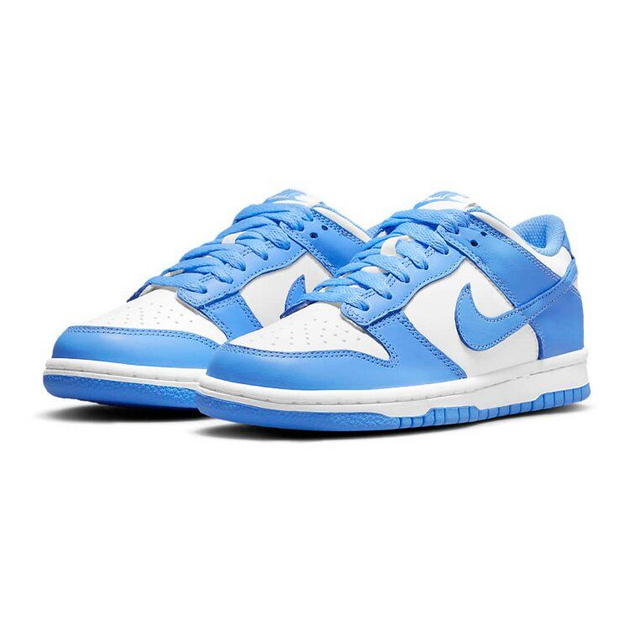 Nike Dunk Low GS
