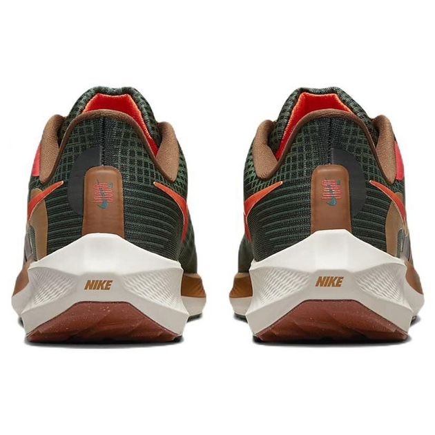 Nike Air Zoom Pegasus 39 Air hola lou