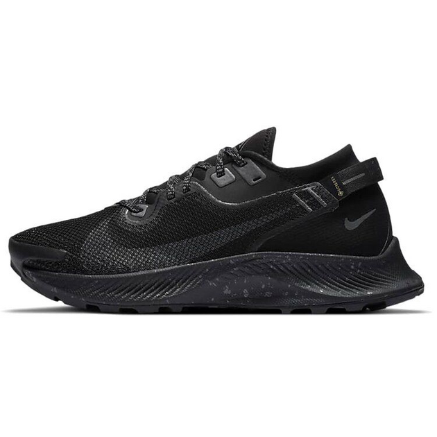 Nike Pegasus TRail 2