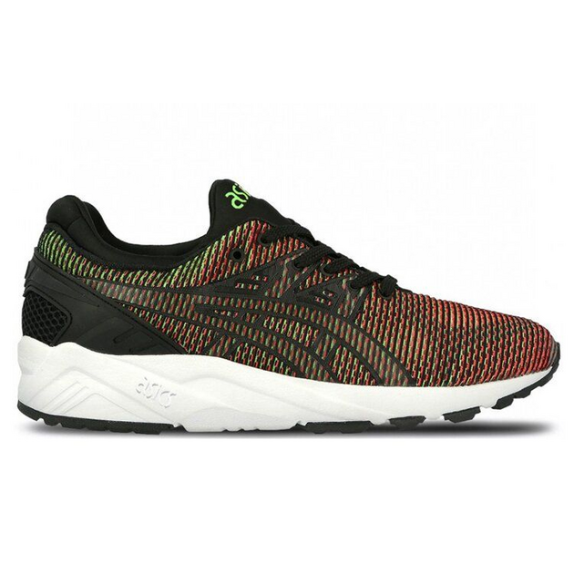 Asics Gel-Kayano TRainer Evo