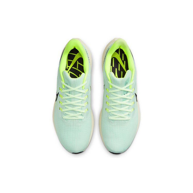Nike Air Zoom Pegasus 39