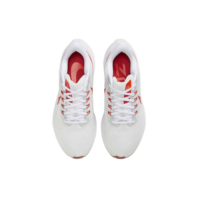 Nike Air Zoom Pegasus 39