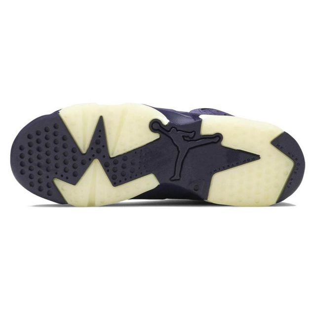Air Jordan 6 Retro Purple Dynasty