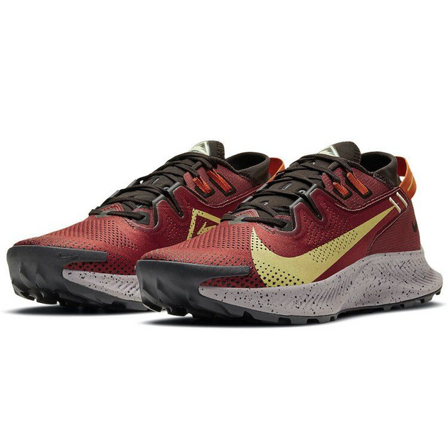 Nike Pegasus TRail 2