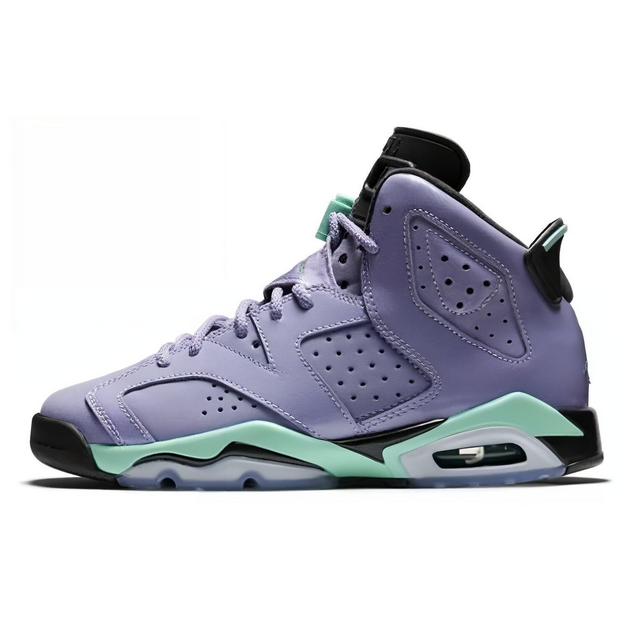 Air Jordan 6 Retro Iron Purple