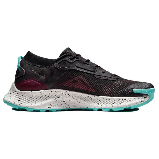 Nike Pegasus TRail 3 Gore-Tex