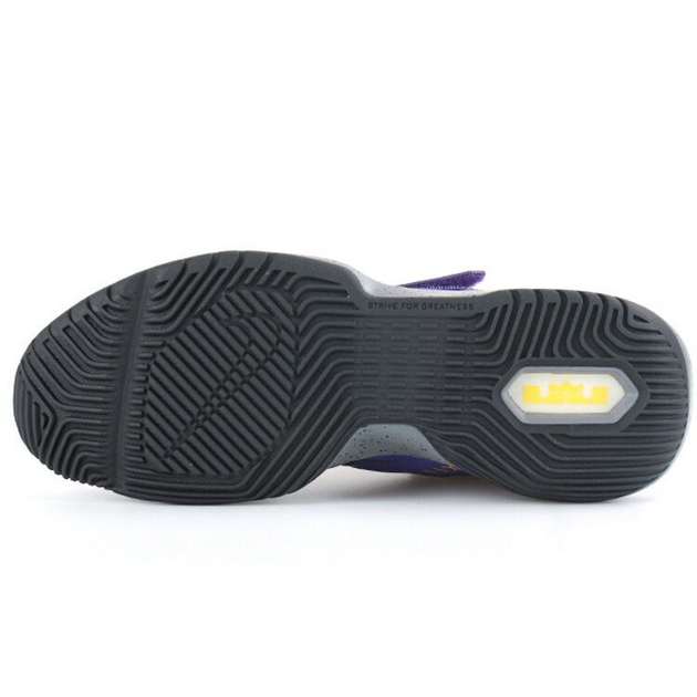 Nike Ambassador 12