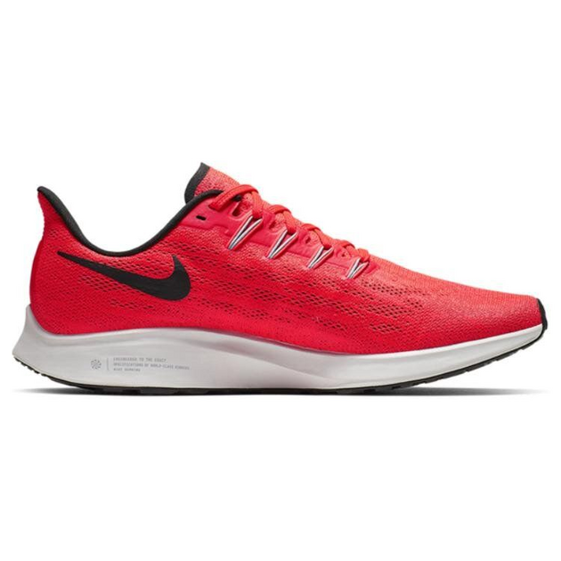 Nike Pegasus 36