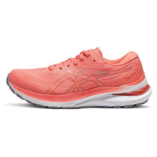 Asics Gel-Kayano 29