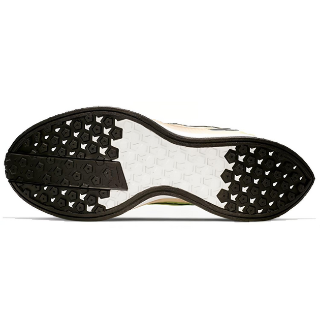 Nike Pegasus Turbo 2