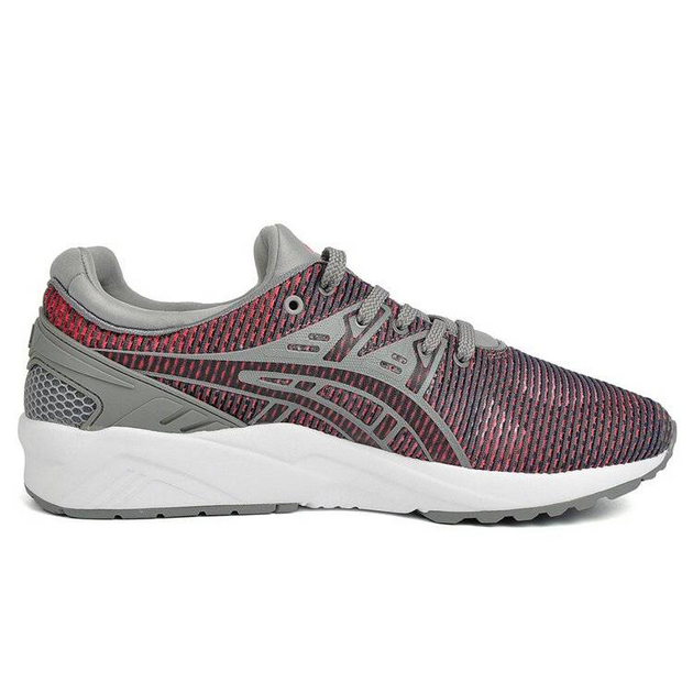 Asics Gel-Kayano TRainer Evo