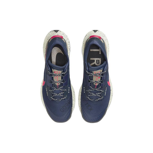 Nike Pegasus TRail 3 GTX