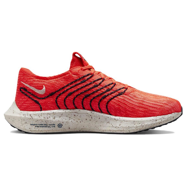 Nike Pegasus Turbo Next Nature