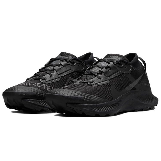 Nike Pegasus TRail 3 GTX