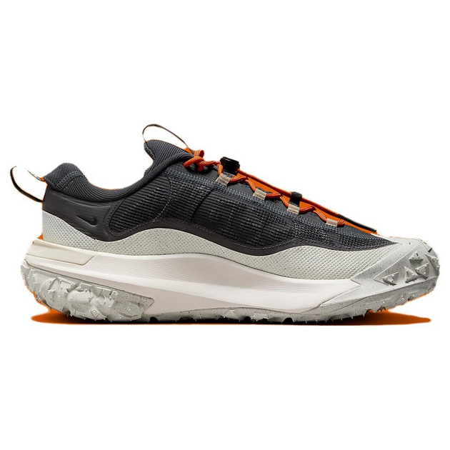Nike ACG Mountain Fly 2 Low Gore-Tex