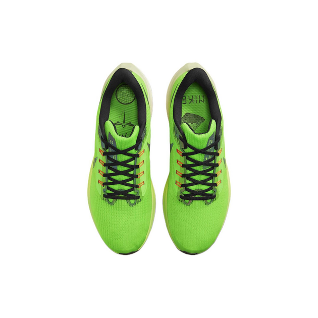 Nike Air Zoom Pegasus 39