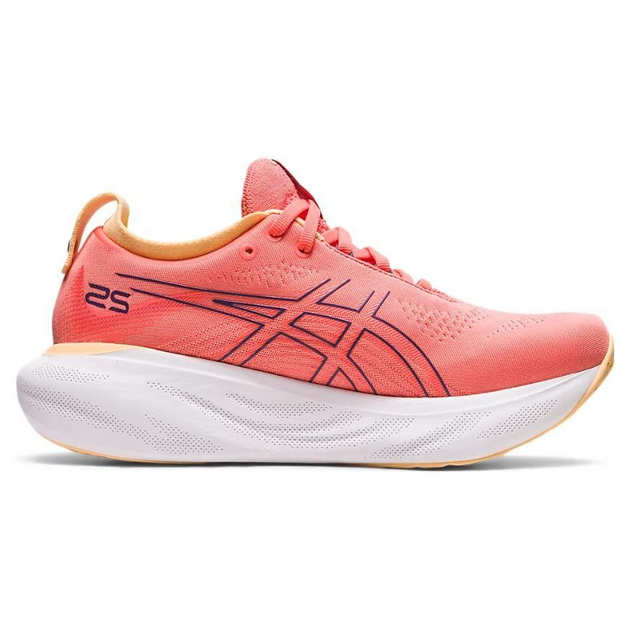 Asics Gel-Nimbus 25