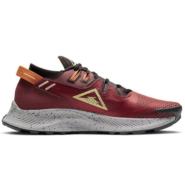 Nike Pegasus TRail 2