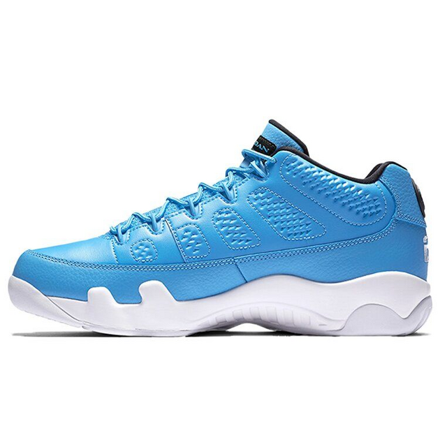 Air Jordan 9 Retro Low Pantone