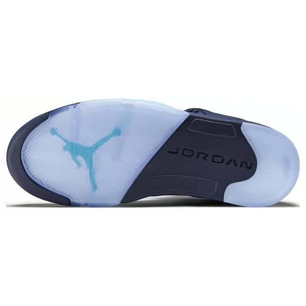 Air Jordan 5 Retro PreGrape