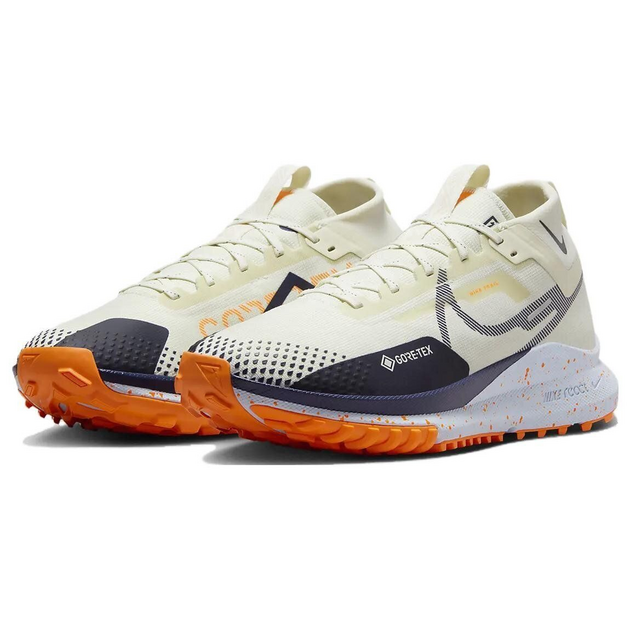 Nike Pegasus TRail 4 Gore-Tex