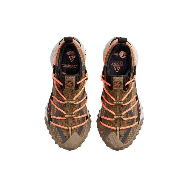 Nike ACG Mountain Fly Low GTX Se