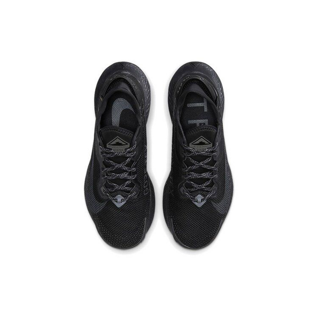 Nike Pegasus TRail 2