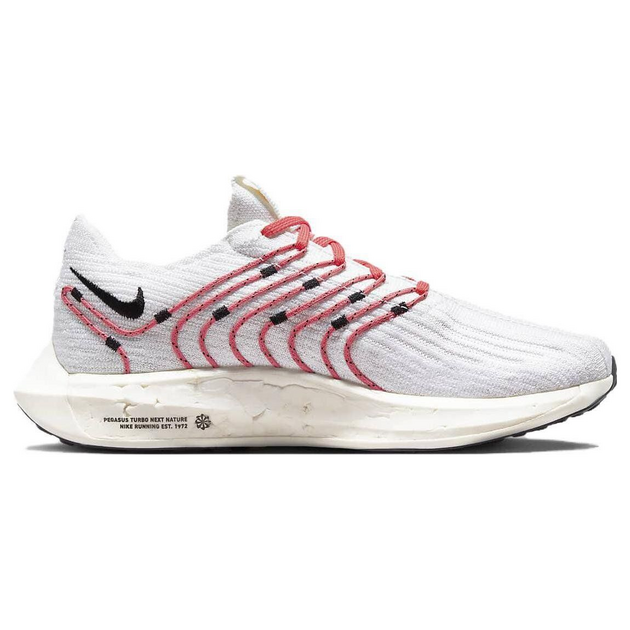 Nike Pegasus Turbo Next Nature
