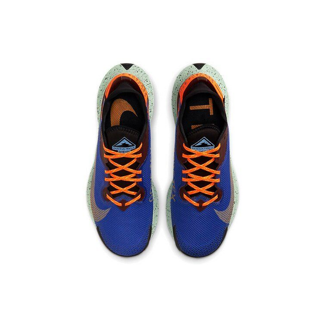 Nike Pegasus TRail 2 Zoom Gore-Tex