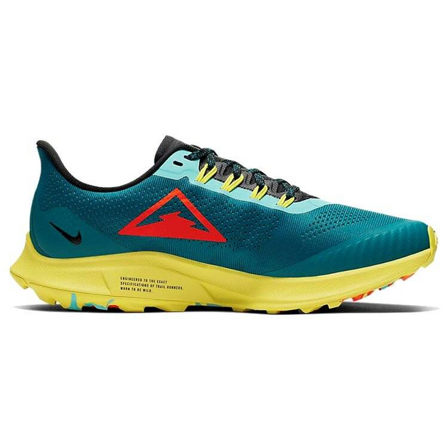 Nike Pegasus 36