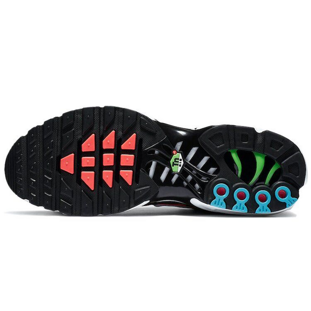 Nike Air Max Plus Worldwide