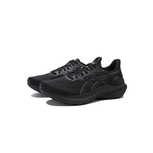 Asics GT-2000 12