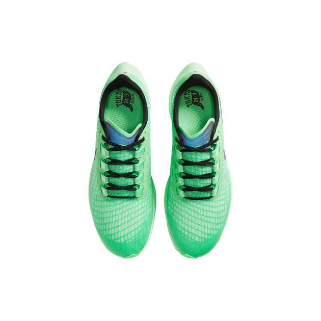Nike Pegasus 37