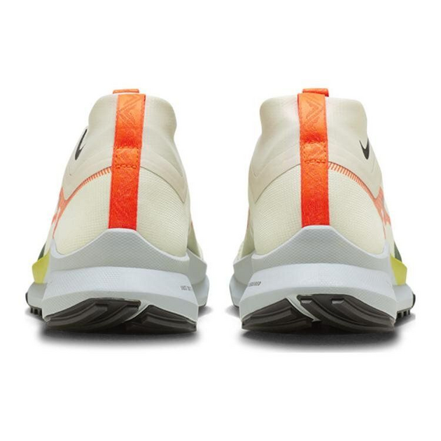 Nike Pegasus TRail 4 GTX