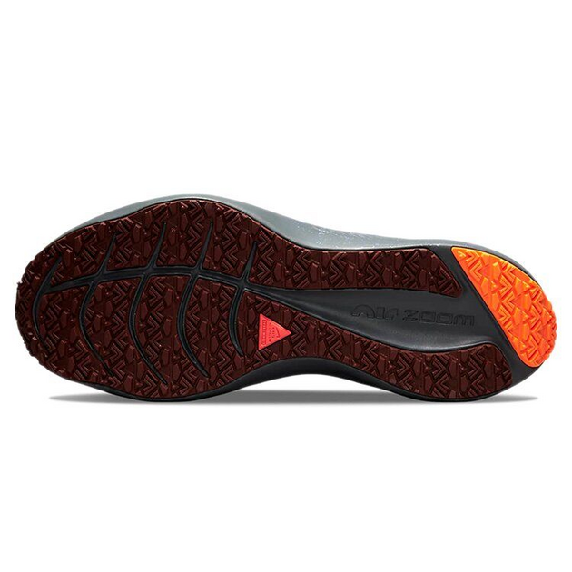 Nike Zoom Winflo 8 shield