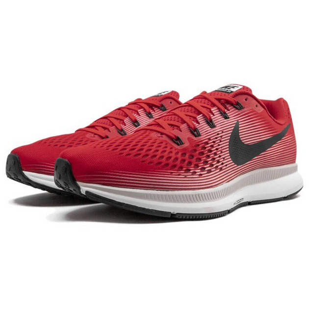 Nike Pegasus 34