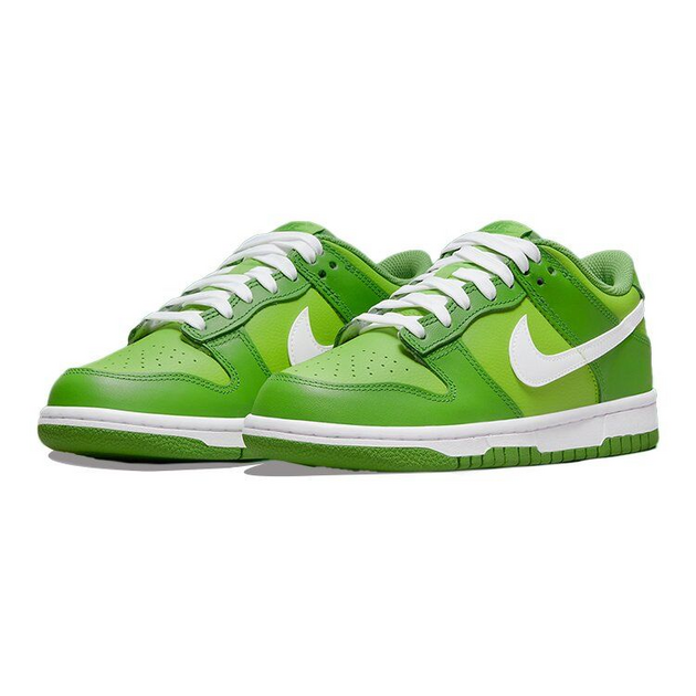 Nike Dunk Low GS
