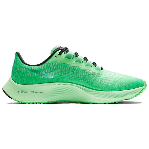 Nike Pegasus 37