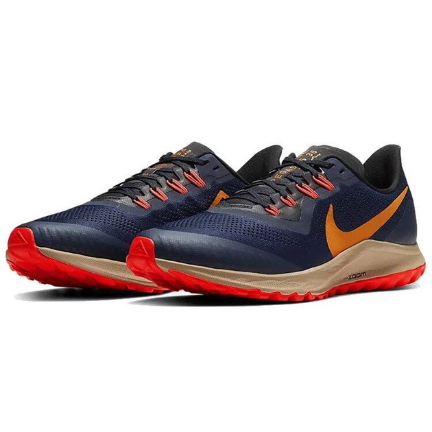 Nike Pegasus 36 TRail