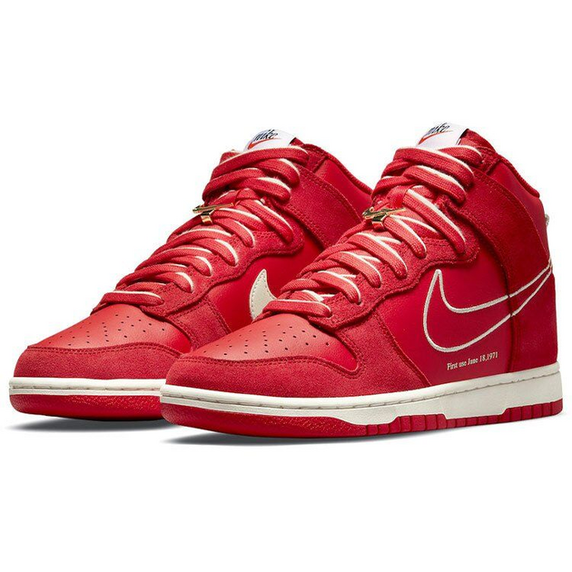 Nike Dunk First Use