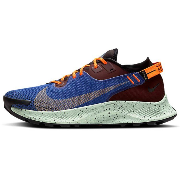 Nike Pegasus TRail 2 Zoom Gore-Tex
