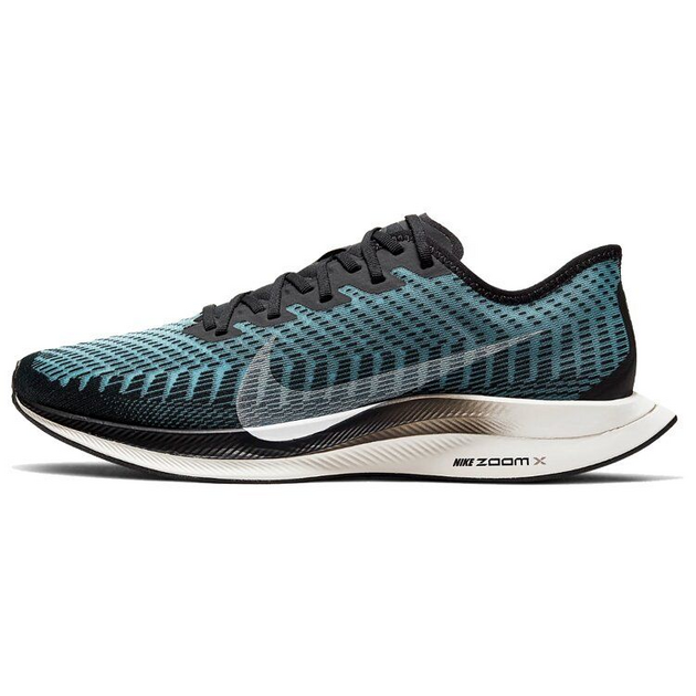 Nike Pegasus Turbo 2
