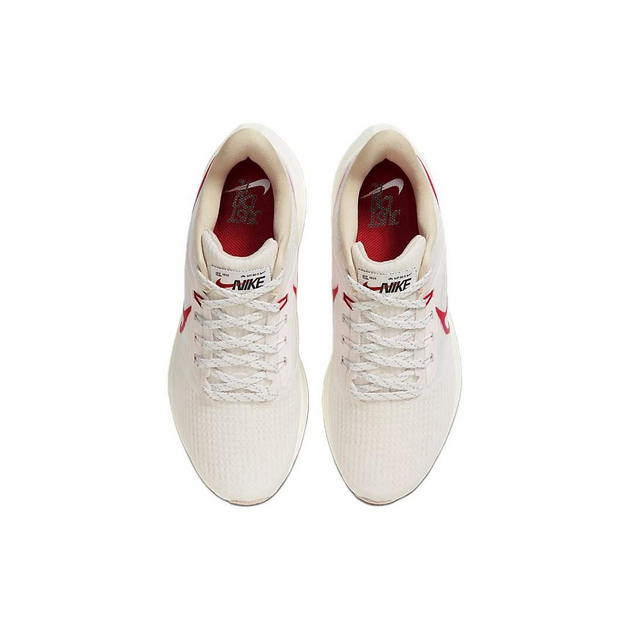 Nike Air Zoom Pegasus 39
