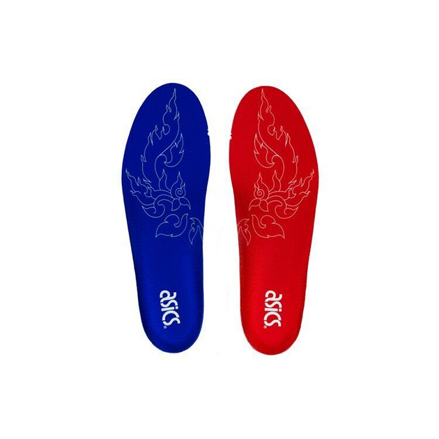 Carnival x Asics Gel-DS TRainer OG Gel DUOSOLE
