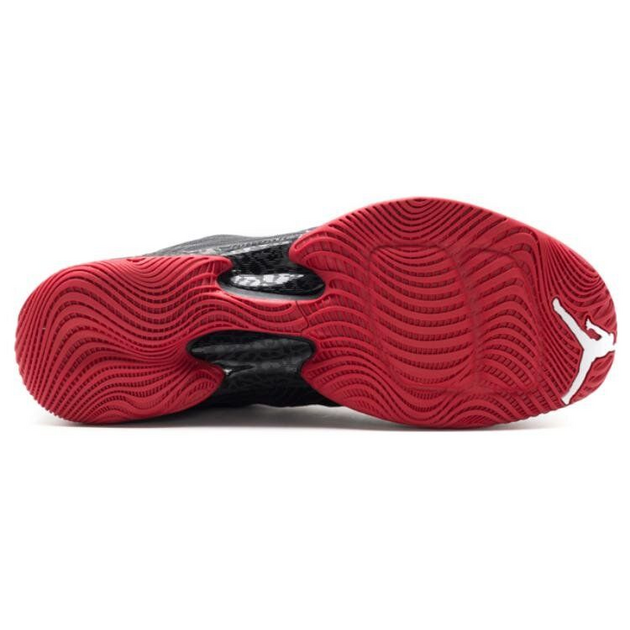 Air Jordan 29
