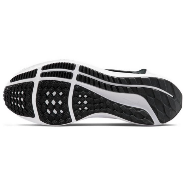 Nike Pegasus FlyEase