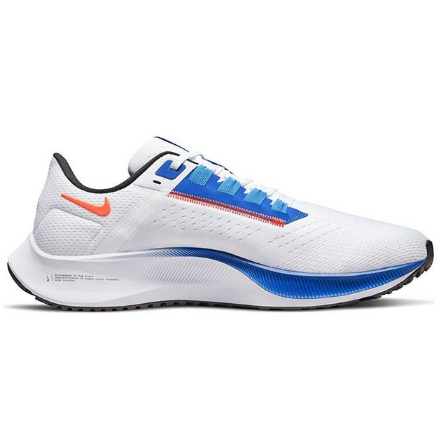 Nike Pegasus 38